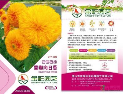 重瓣向日葵